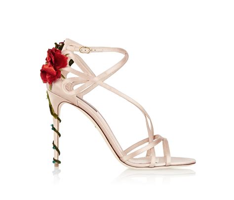 dolce gabbana rose heels polyvore|dolce & gabbana slingback heel.